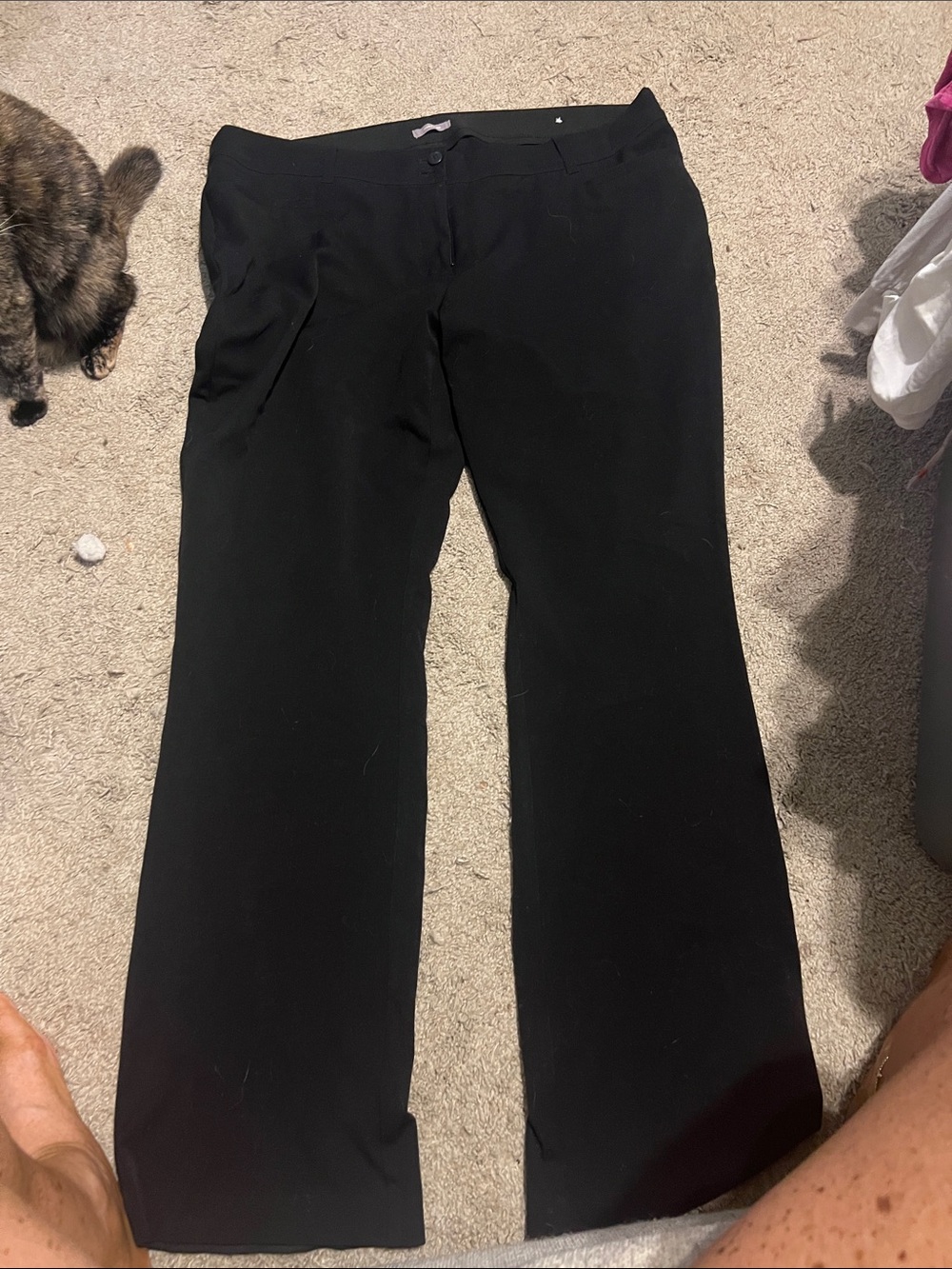Maurices Black Boot Cut Pants